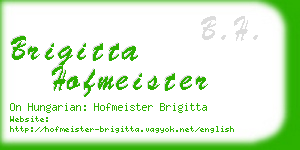 brigitta hofmeister business card